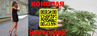 винт Донецк