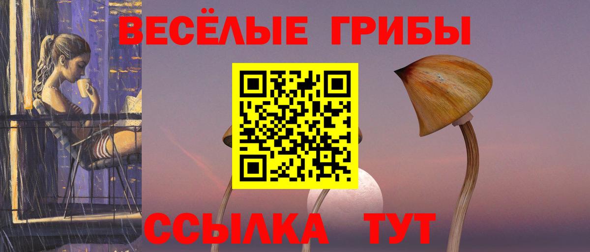 Псилоцибиновые грибы Cubensis  Галлюциногенные грибы Psilocybe  Коломна  Вход с VPN 